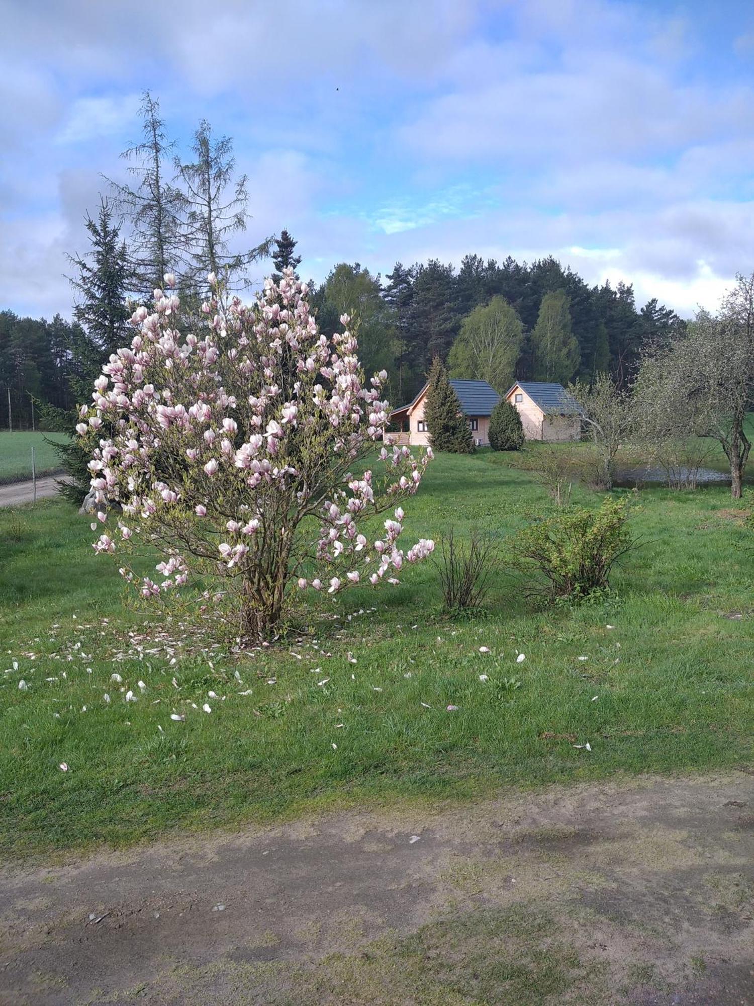 Wczasy Na Kaszubach Villa Gorki  Kültér fotó
